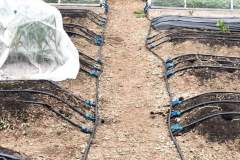 WhatsApp-Image-2021-11-09-at-04.39.45