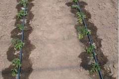 WhatsApp-Image-2021-11-09-at-04.39.46