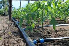 WhatsApp-Image-2021-11-09-at-04.39.47-1