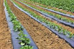 WhatsApp-Image-2021-11-09-at-04.39.47-2