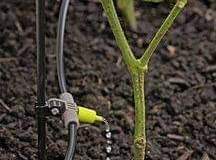 WhatsApp-Image-2021-11-09-at-04.39.47